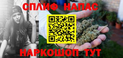 шишки Апшеронск