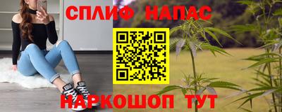 шишки Апшеронск