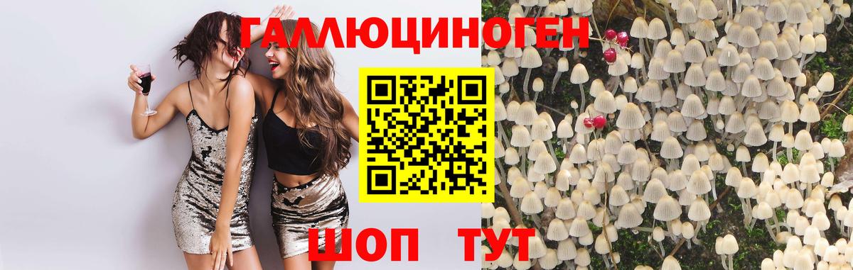 Галлюциногенные грибы мухоморы Белореченск