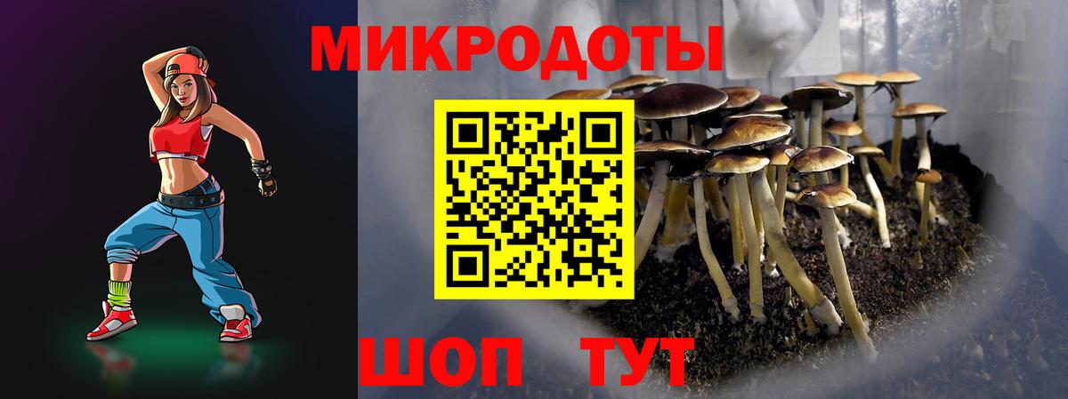 Псилоцибиновые грибы Psilocybe Белореченск